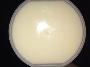 Optimum Nutrition whey Cake Donut Review 