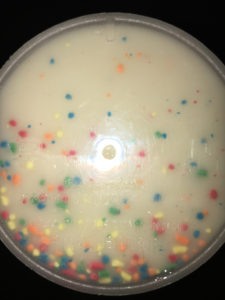 optimum nutrition birthday cake reviews