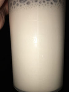 optimum nutrition french vanilla cream