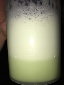 optimum nutrition whey key lime pie review