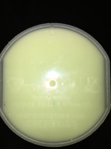 optimum nutrition key lime pie review