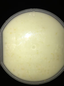 optimum nutrition gold standard key lime pie review